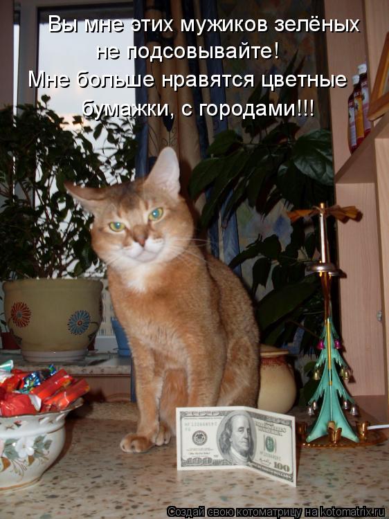 Вы мне этих мужиков зелёных не подсовывайте! Мне больше нравятся цветные бумажки, с городами!!!... Котоматрица: Вы мне этих мужиков зелёных не подсовывайте! Мне больше нравятся цветные бумажки, с городами!!!
