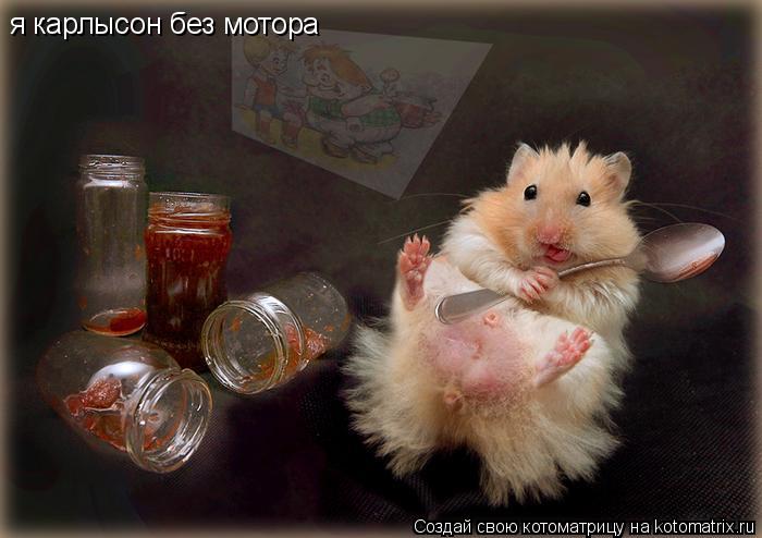 я карлысон без пропелира я карлысон без мотора... Котоматрица: я карлысон без пропелира я карлысон без мотора