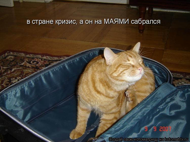 в стране кризис, а он на МАЯМИ сабрался... Котоматрица: в стране кризис, а он на МАЯМИ сабрался