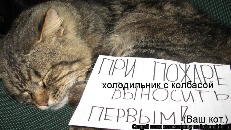 холодильник с колбасой (Ваш кот.)... Котоматрица: холодильник с колбасой (Ваш кот.)