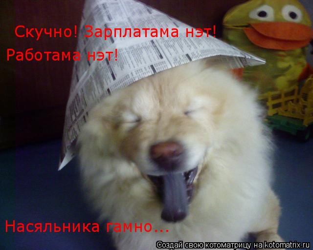 Скучно! Зарплатама нэт! Работама нэт! Насяльника гамно...... Котоматрица: Скучно! Зарплатама нэт! Работама нэт! Насяльника гамно...
