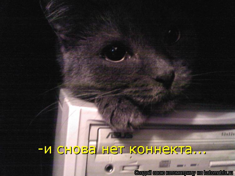 -и снова нет коннекта...... Котоматрица: -и снова нет коннекта...