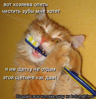 вот хозяева опять чистить зубы мне хотят я им щетку не отдам этой щетке-я как дам!... Котоматрица: вот хозяева опять чистить зубы мне хотят я им щетку не отдам этой щетке-я как дам!