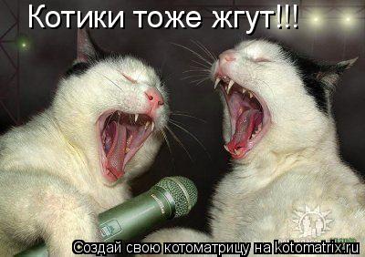 Котоматрица: Котики тоже жгут!!!