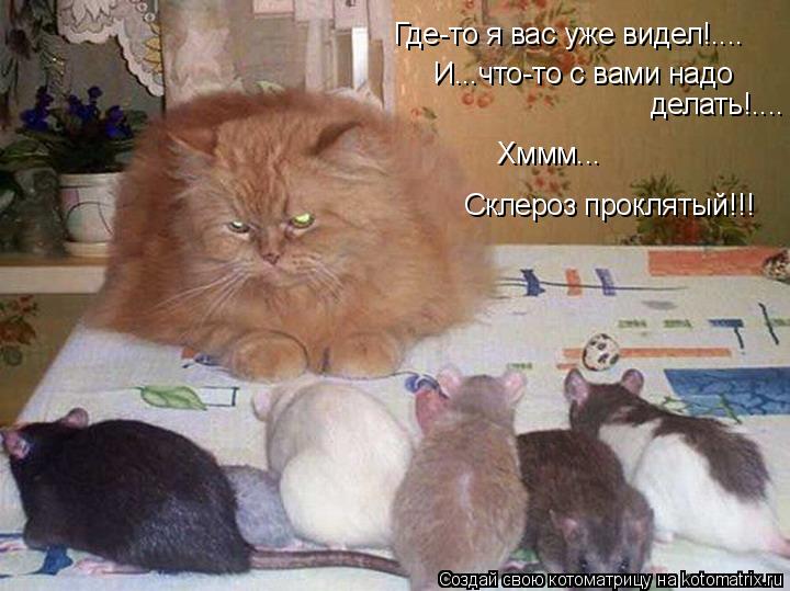 Где-то я вас уже видел!.... И...что-то с вами надо делать!.... Хммм... Склероз проклятый!!!... Котоматрица: Где-то я вас уже видел!.... И...что-то с вами надо делать!.... Хммм... Склероз проклятый!!!