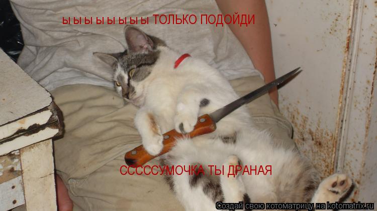 ы ы ы ы ы ы ы ы ТОЛЬКО ПОДОЙДИ СССССУМОЧКА ТЫ ДРАНАЯ... Котоматрица: ы ы ы ы ы ы ы ы ТОЛЬКО ПОДОЙДИ СССССУМОЧКА ТЫ ДРАНАЯ