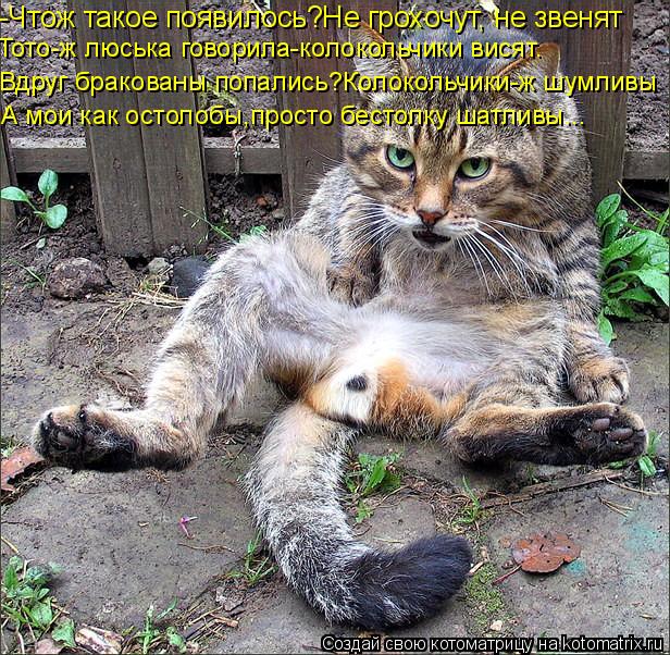 -Чтож такое появилось?Не грохочут, не звенят Тото-ж люська говорила-колокольчики висят. Вдруг бракова... Котоматрица: -Чтож такое появилось?Не грохочут, не звенят Тото-ж люська говорила-колокольчики висят. Вдруг бракованы попались?Колокольчики-ж шумливы А м