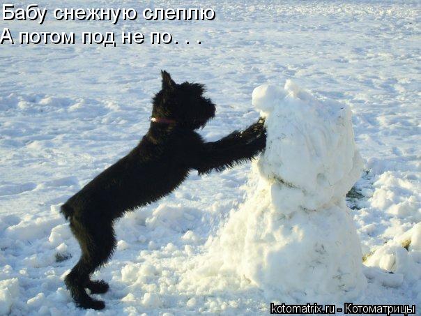 Бабу снежную слеплю А потом под не по. . .... Котоматрица: Бабу снежную слеплю А потом под не по. . .