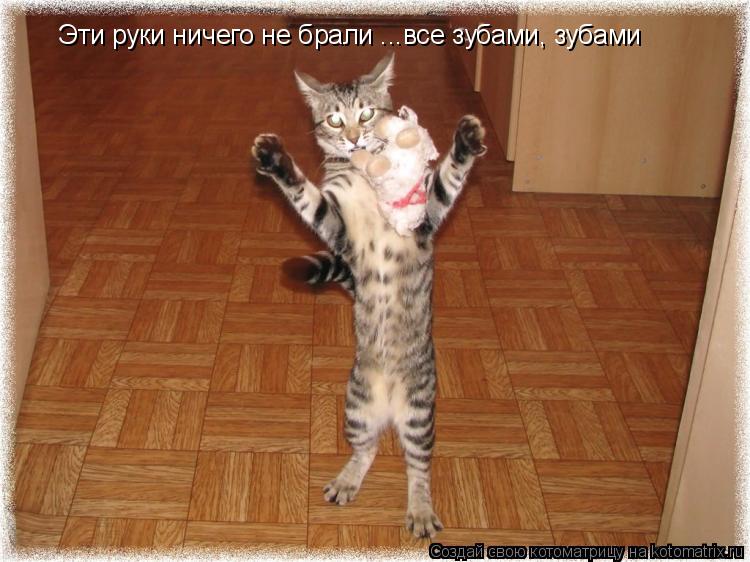 Котоматрица: Эти руки ничего не брали ...все зубами, зубами