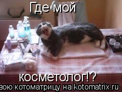 Где мой косметолог!?... Котоматрица: Где мой косметолог!?