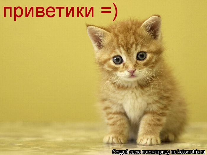 Котоматрица: приветики =)