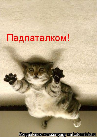 Падпаталком!... Котоматрица: Падпаталком!