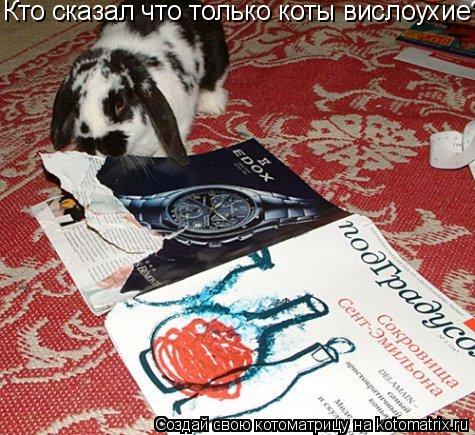 Кто сказал что только коты вислоухие?... Котоматрица: Кто сказал что только коты вислоухие?