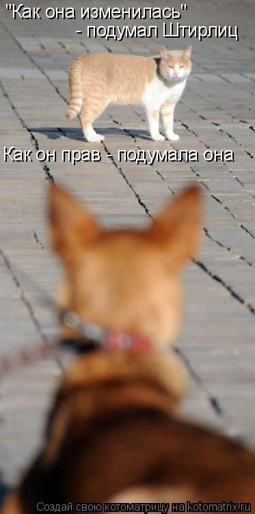 Котоматрица: "Как она изменилась"  - подумал Штирлиц Как он прав - подумала она