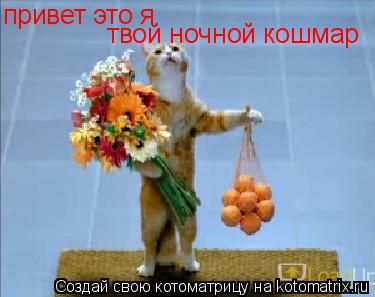 привет это я твой ночной кошмар... Котоматрица: привет это я твой ночной кошмар