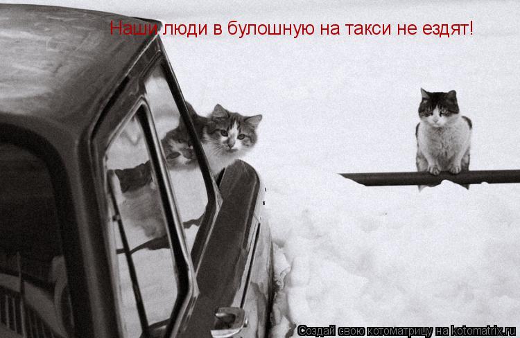 Наши люди в булошную на такси не ездят!... Котоматрица: Наши люди в булошную на такси не ездят!