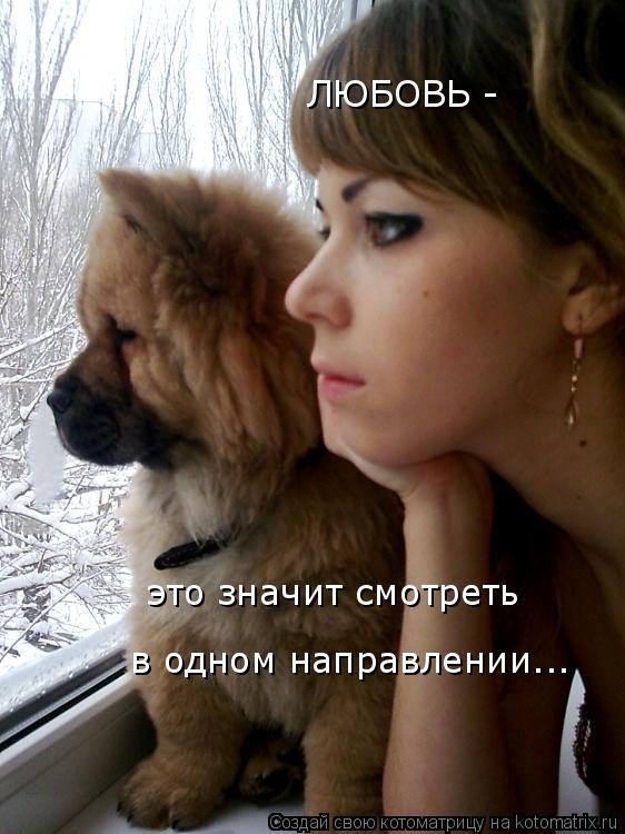ЛЮБОВЬ - это значит смотреть в одном направлении...... Котоматрица: ЛЮБОВЬ - это значит смотреть в одном направлении...