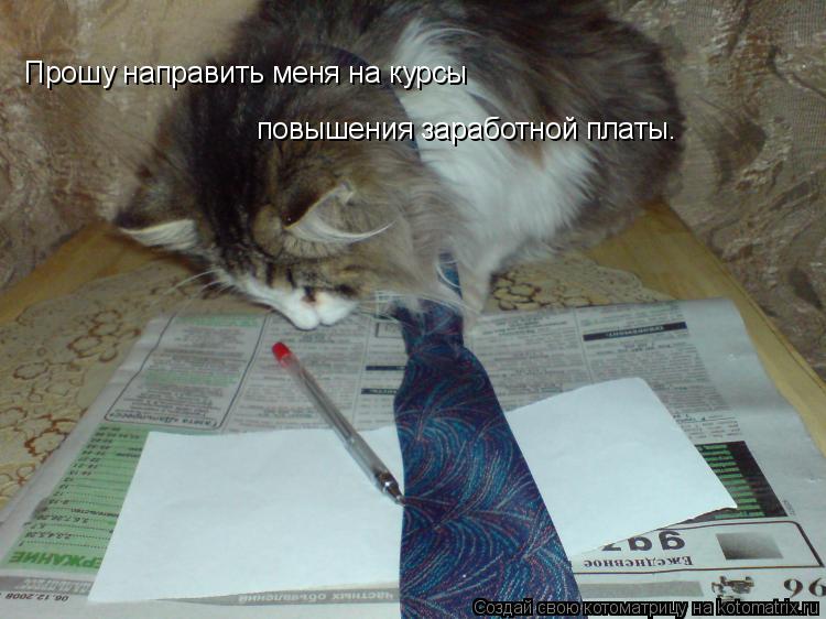 Прошу направить меня на курсы повышения заработной платы.... Котоматрица: Прошу направить меня на курсы повышения заработной платы.