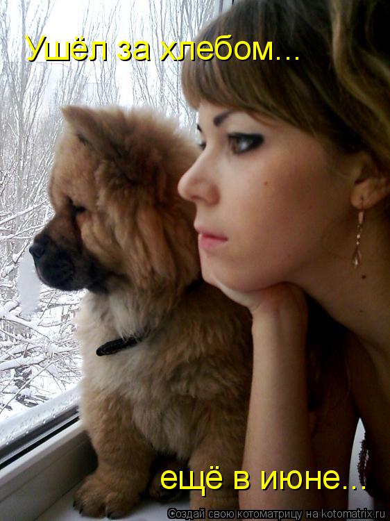 Ушёл за хлебом... ещё в июне...... Котоматрица: Ушёл за хлебом... ещё в июне...