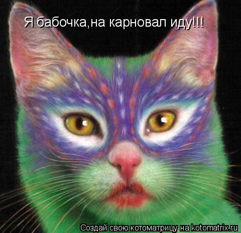 Я бабочка,на карновал иду!!!... Котоматрица: Я бабочка,на карновал иду!!!