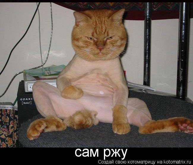 сам ржу... Котоматрица: сам ржу