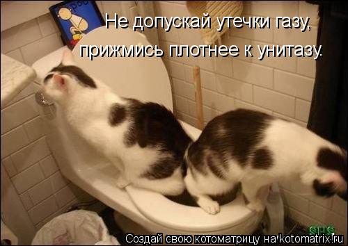 Не допускай утечки газу, прижмись плотнее к унитазу.... Котоматрица: Не допускай утечки газу, прижмись плотнее к унитазу.