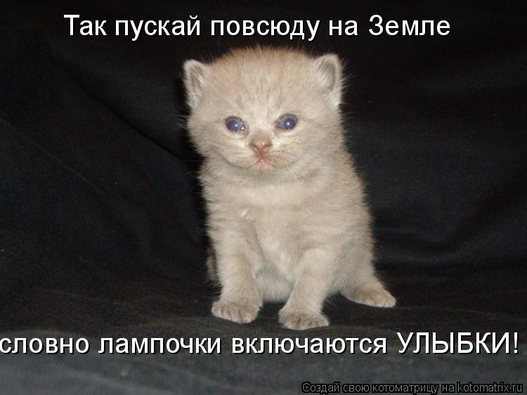Так пускай повсюду на Земле словно лампочки включаются УЛЫБКИ!... Котоматрица: Так пускай повсюду на Земле словно лампочки включаются УЛЫБКИ!