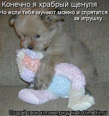 Конечно я храбрый щенуля Но если тебя мучеют можно и спрятатся за игрушку... Котоматрица: Конечно я храбрый щенуля Но если тебя мучеют можно и спрятатся за игрушку