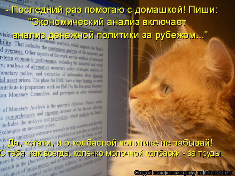 - Последний раз помогаю с домашкой! Пиши: "Экономический анализ включает анализ денежной политики за... Котоматрица: - Последний раз помогаю с домашкой! Пиши: "Экономический анализ включает анализ денежной политики за рубежом..." Да, кстати, и о колбасной пол