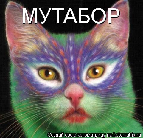 МУТАБОР... Котоматрица: МУТАБОР