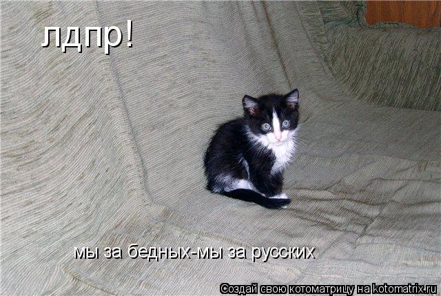 лдпр! мы за бедных-мы за русских... Котоматрица: лдпр! мы за бедных-мы за русских