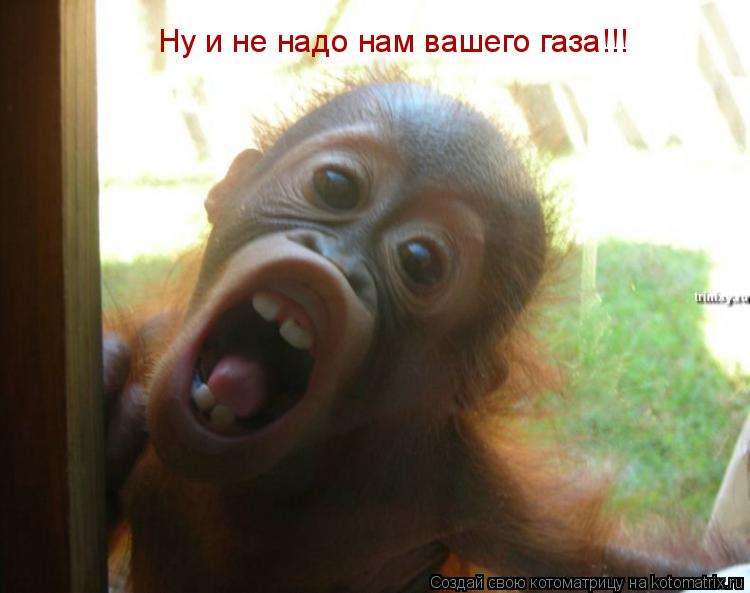 Ну и не надо нам вашего газа!!!... Котоматрица: Ну и не надо нам вашего газа!!!