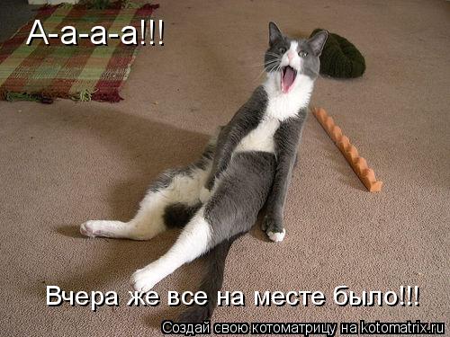 А-а-а-а!!! Вчера же все на месте было!!!... Котоматрица: А-а-а-а!!! Вчера же все на месте было!!!