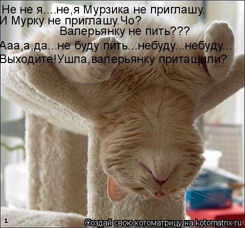 Не не я....не,я Мурзика не приглашу. И Мурку не приглашу.Чо? Валерьянку не пить??? Ааа,а,да...не буду... Котоматрица: Не не я....не,я Мурзика не приглашу. И Мурку не приглашу.Чо? Валерьянку не пить??? Ааа,а,да...не буду пить...небуду...небуду... Выходите!Ушла,валерья