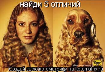 найди 5 отличий... Котоматрица: найди 5 отличий