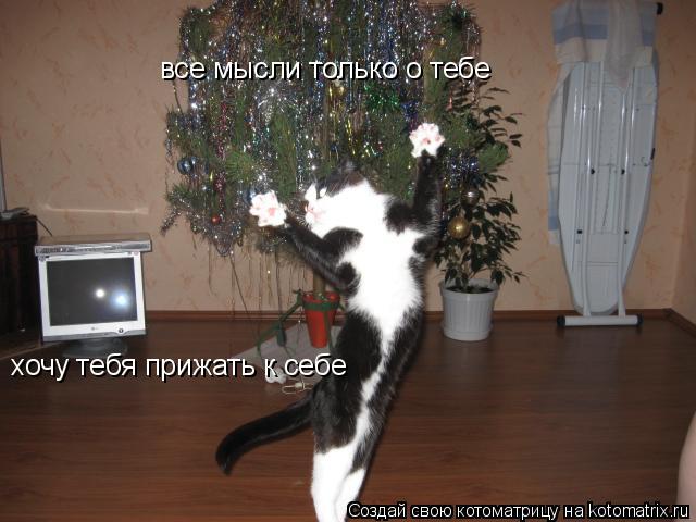 все мысли только о тебе хочу тебя прижать к себе... Котоматрица: все мысли только о тебе хочу тебя прижать к себе