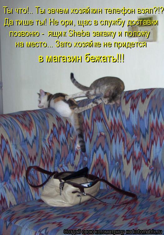 Ты что!.. Ты зачем хозяйкин телефон взял?!? Да тише ты! Не ори, щас в службу доставки позвоню - ящик... Котоматрица: Ты что!.. Ты зачем хозяйкин телефон взял?!? Да тише ты! Не ори, щас в службу доставки позвоню - ящик Sheba закажу и положу на место... Зато хозяйке н