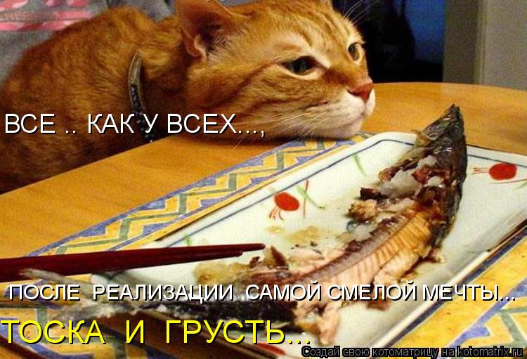 ВСЕ .. КАК У ВСЕХ..., ПОСЛЕ РЕАЛИЗАЦИИ САМОЙ СМЕЛОЙ МЕЧТЫ... ТОСКА И ГРУСТЬ...... Котоматрица: ВСЕ .. КАК У ВСЕХ..., ПОСЛЕ РЕАЛИЗАЦИИ САМОЙ СМЕЛОЙ МЕЧТЫ... ТОСКА И ГРУСТЬ...
