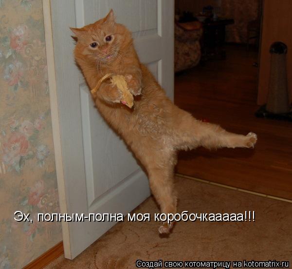 Котоматрица: Эх, полным-полна моя коробочкааааа!!!