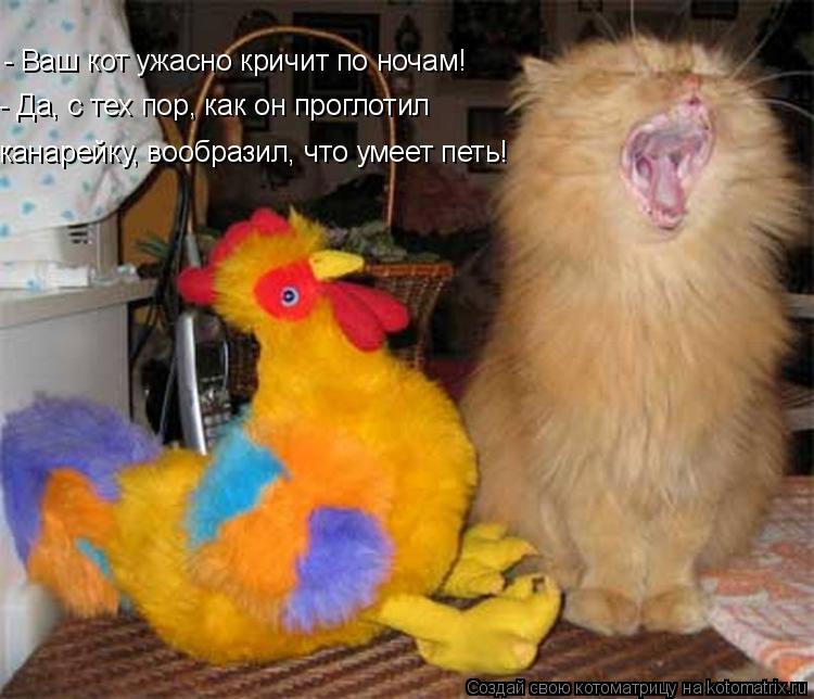 - Ваш кот ужасно кричит по ночам! - Да, с тех пор, как он проглотил канарейку, вообразил, что умее... Котоматрица: - Ваш кот ужасно кричит по ночам! - Да, с тех пор, как он проглотил канарейку, вообразил, что умеет петь!