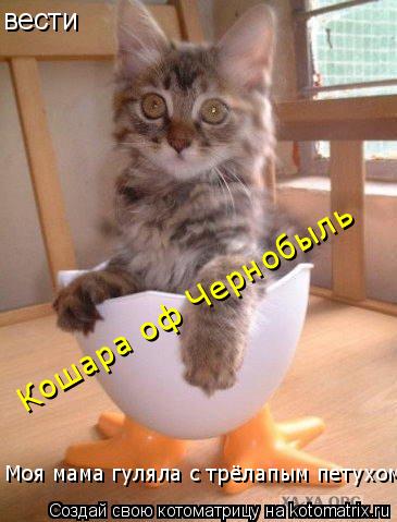 Кошара оф Чернобыль Моя мама гуляла с трёлапым петухом вести... Котоматрица: Кошара оф Чернобыль Моя мама гуляла с трёлапым петухом вести