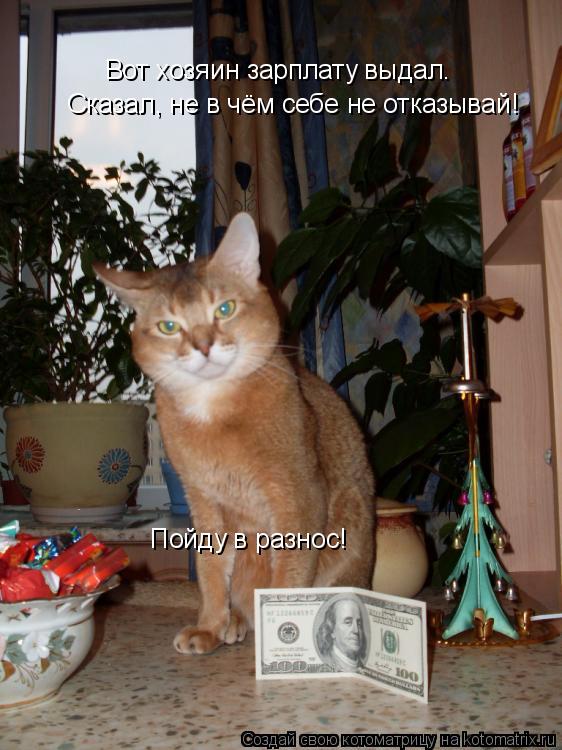 Котоматрица: Вот хозяин зарплату выдал. Сказал, не в чём себе не отказывай! Пойду в разнос!