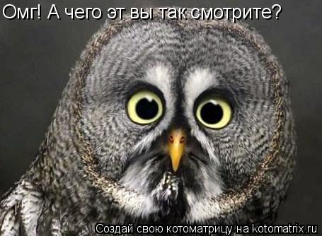 Омг! А чего эт вы так смотрите?... Котоматрица: Омг! А чего эт вы так смотрите?