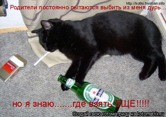 Родители постоянно пытаются выбить из меня дурь... но я знаю.......где взять ЕЩЕ!!!!!... Котоматрица: Родители постоянно пытаются выбить из меня дурь... но я знаю.......где взять ЕЩЕ!!!!!