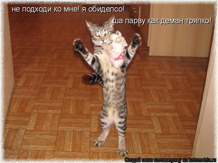 не подходи ко мне! я обиделсо! ша парву как деман тряпко!... Котоматрица: не подходи ко мне! я обиделсо! ша парву как деман тряпко!