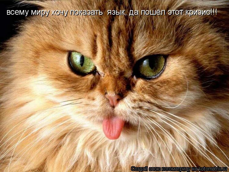 всему миру хочу показать язык, да пошёл этот кризис!!!... Котоматрица: всему миру хочу показать язык, да пошёл этот кризис!!!