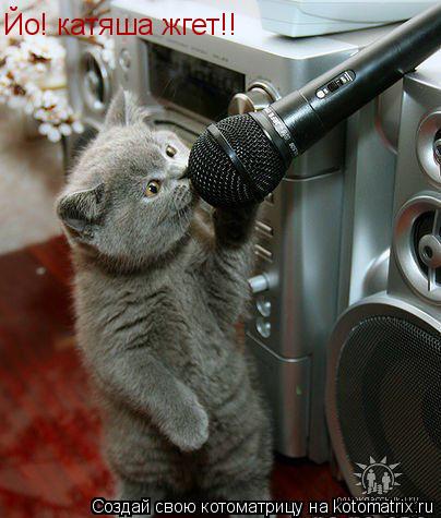 Котоматрица: Йо! катяша жгет!!