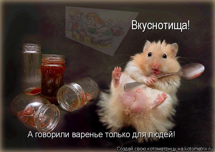 Вкуснотища! А говорили варенье только для людей!... Котоматрица: Вкуснотища! А говорили варенье только для людей!