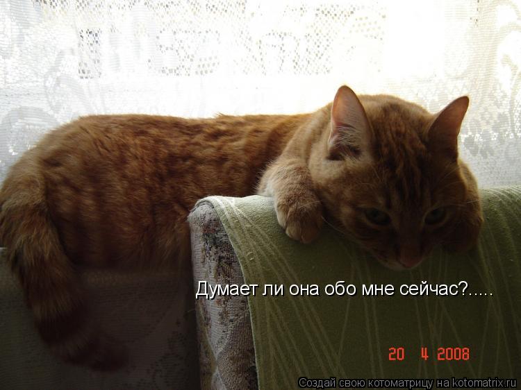 Думает ли она обо мне сейчас?........ Котоматрица: Думает ли она обо мне сейчас?.....