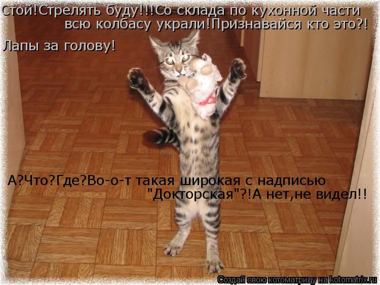 Стой!Стрелять буду!!!Со склада по кухонной части всю колбасу украли!Признавайся кто это?! Лапы за гол... Котоматрица: Стой!Стрелять буду!!!Со склада по кухонной части всю колбасу украли!Признавайся кто это?! Лапы за голову! А?Что?Где?Во-о-т такая широкая с надп
